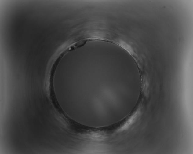 X0000088470199200705291555