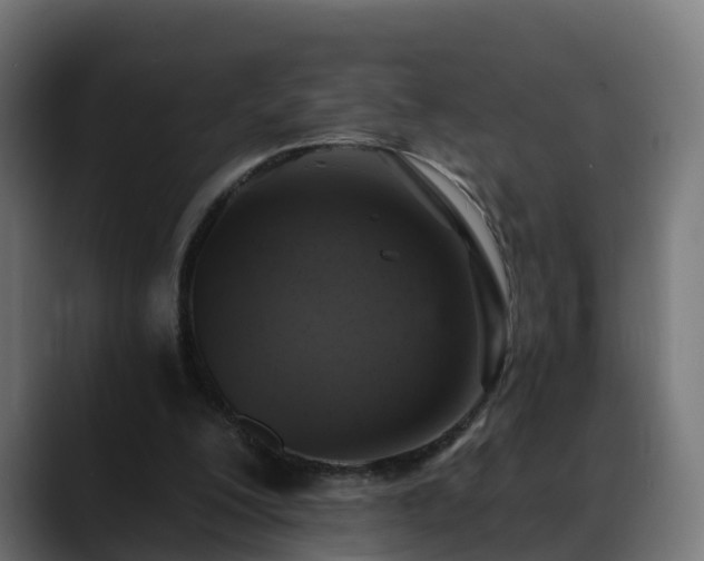 X0000088470200200705291555