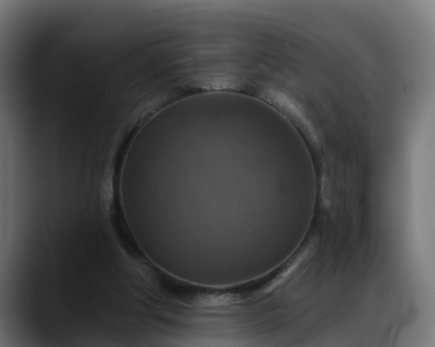 X0000088470202200705291555