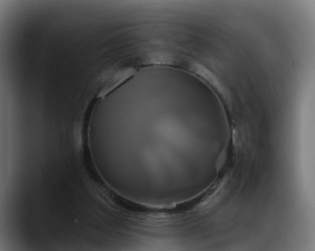 X0000088470203200705291555