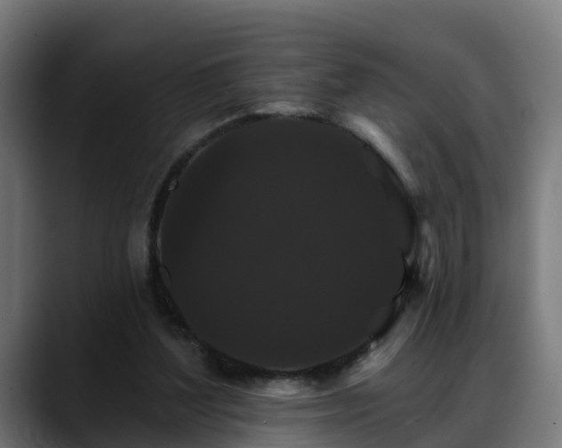 X0000088470204200705291555