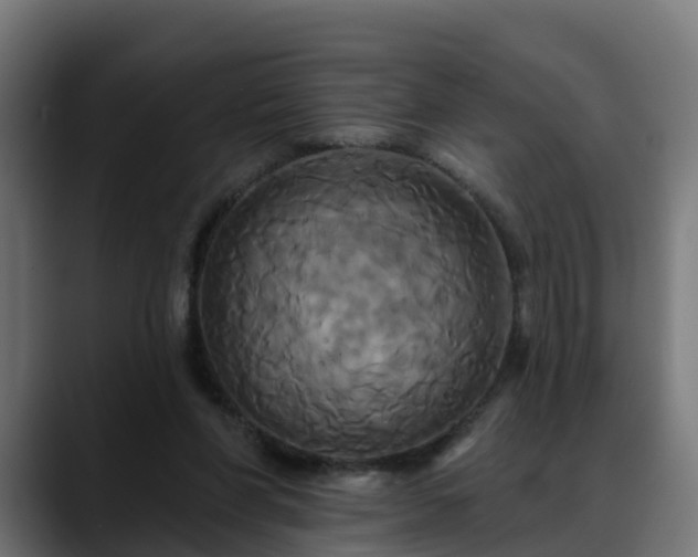 X0000088470206200705291555