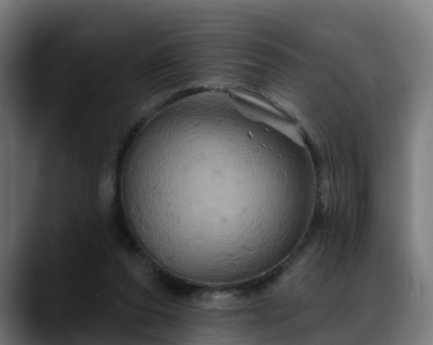 X0000088470208200705291555