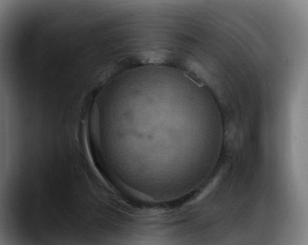 X0000088470209200705291555