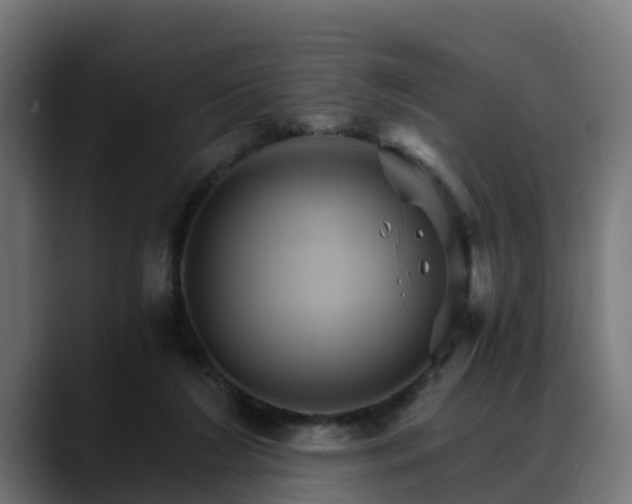 X0000088470212200705291555