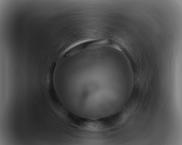 X0000088470215200705291555