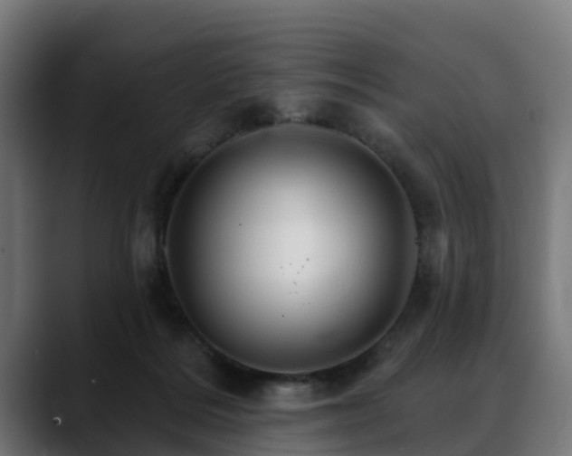 X0000088470220200705291555