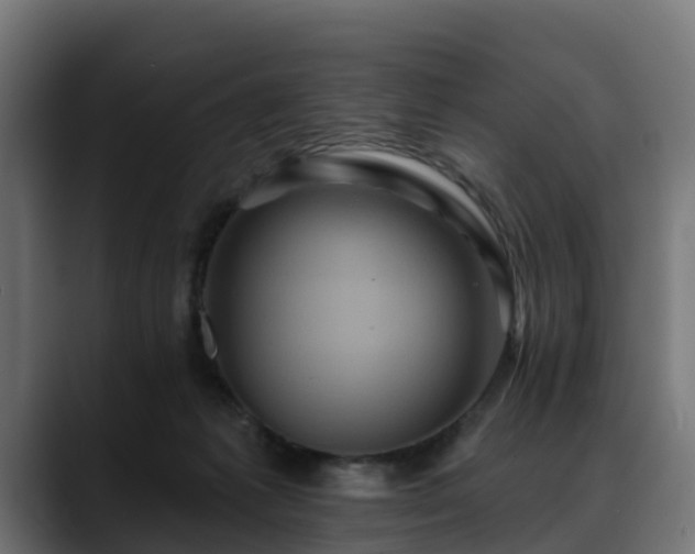 X0000088470221200705291555