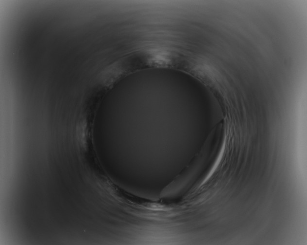 X0000088470223200705291555