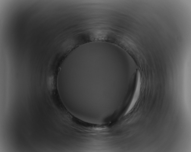 X0000088470224200705291555