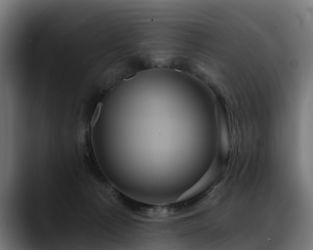 X0000088470225200705291555