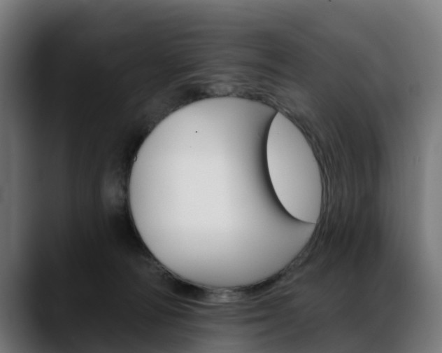 X0000088470226200705291555