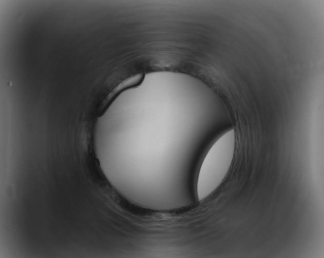 X0000088470227200705291555