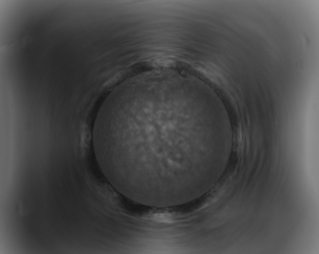 X0000088470228200705291555