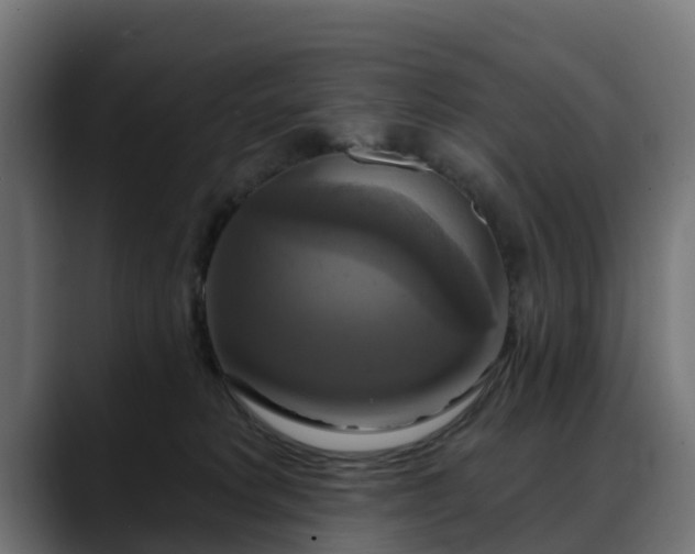 X0000088470229200705291555