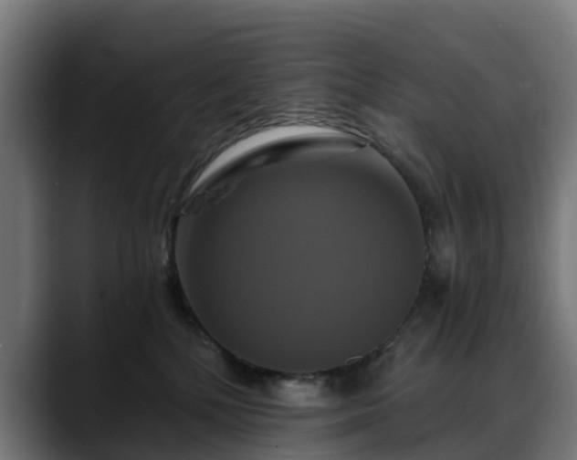 X0000088470232200705291554