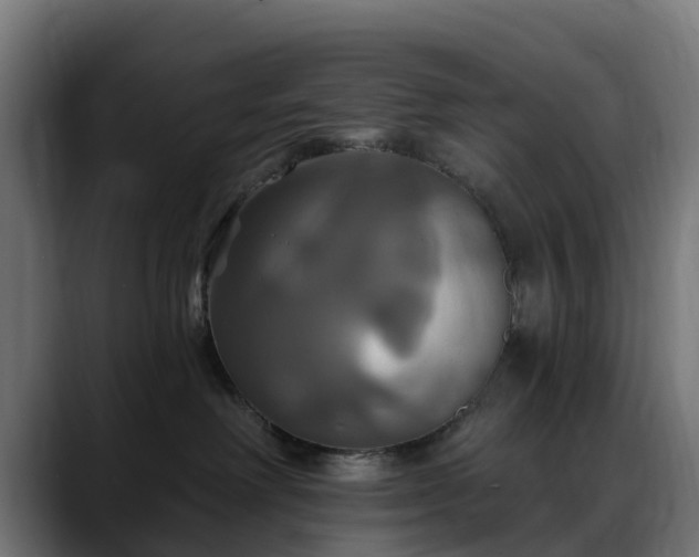 X0000088470238200705291554