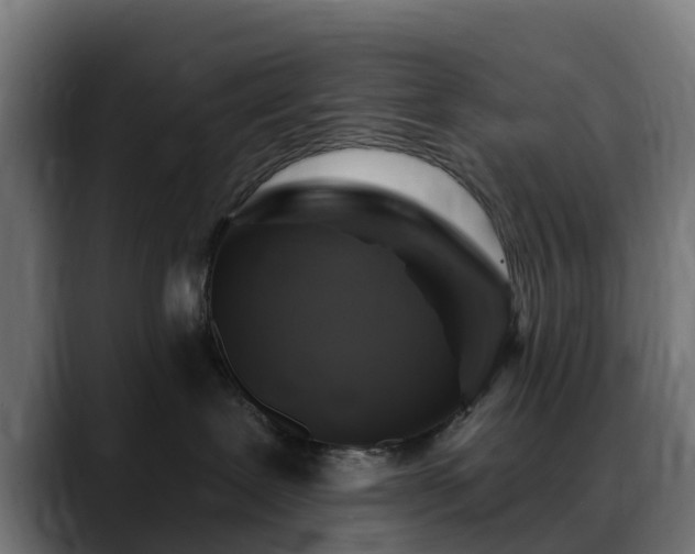 X0000088470239200705291554