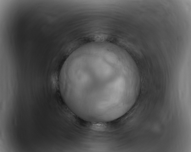 X0000088470240200705291554