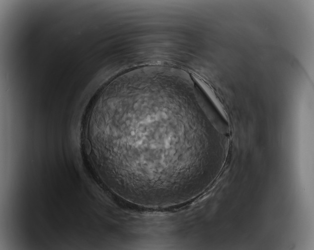 X0000088470242200705291554