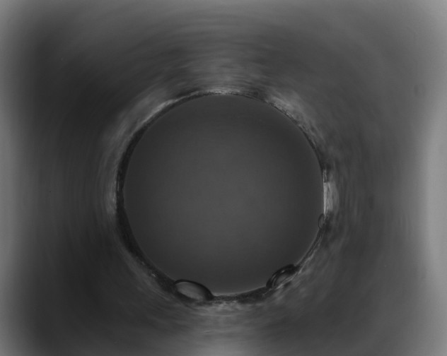 X0000088470243200705291554