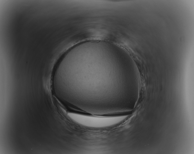 X0000088470244200705291554