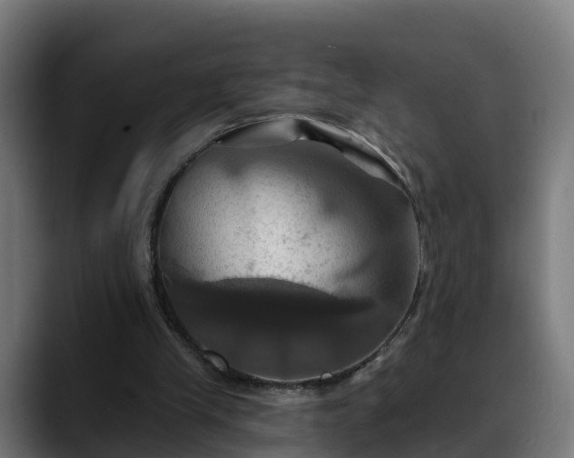 X0000088470245200705291554