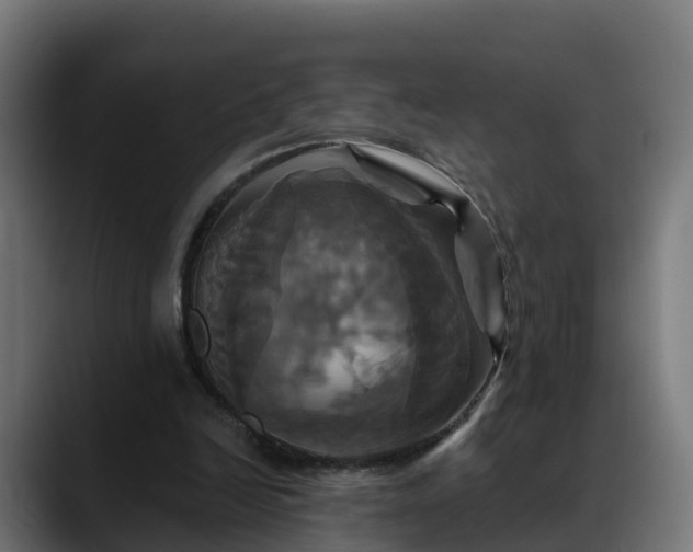 X0000088470246200705291554