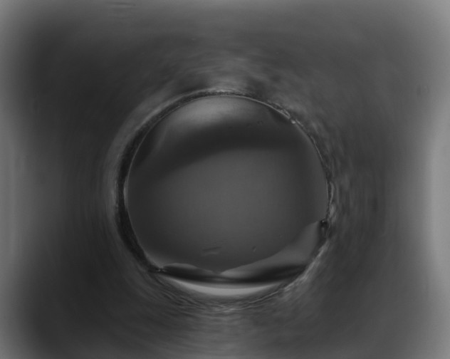 X0000088470247200705291554