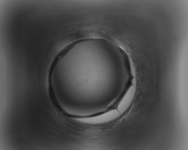 X0000088470248200705291554