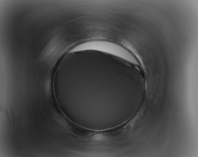 X0000088470249200705291554