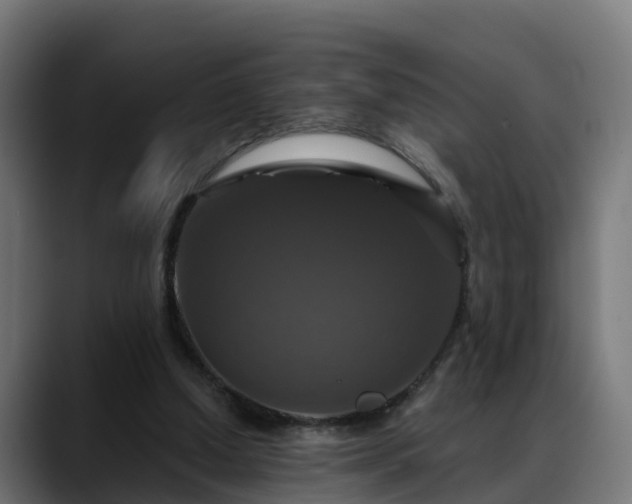 X0000088470250200705291554