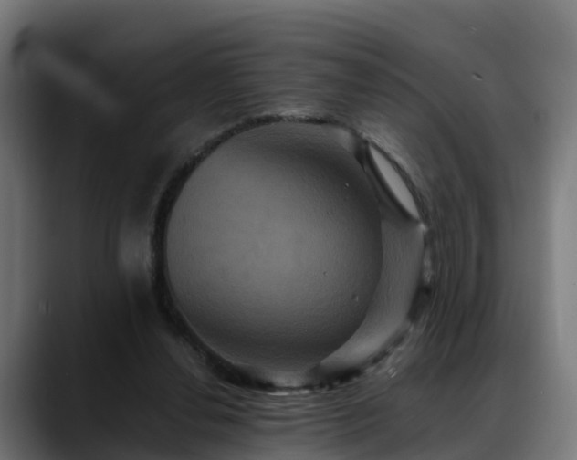 X0000088470252200705291554