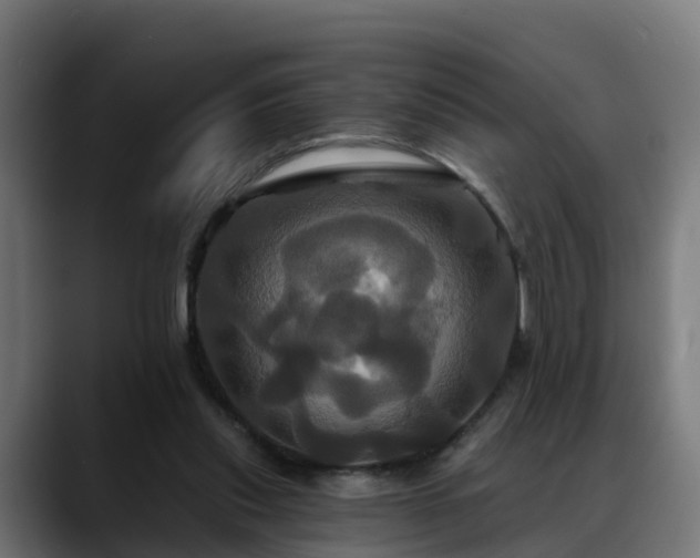 X0000088470253200705291554