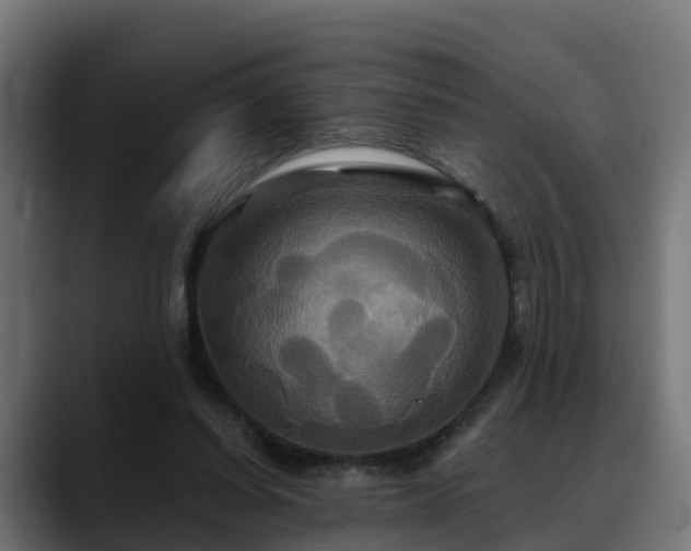 X0000088470254200705291554