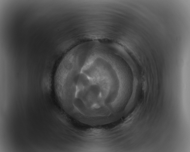 X0000088470255200705291554