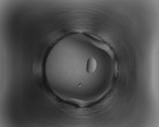 X0000088470256200705291554