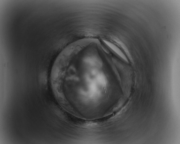 X0000088470257200705291554