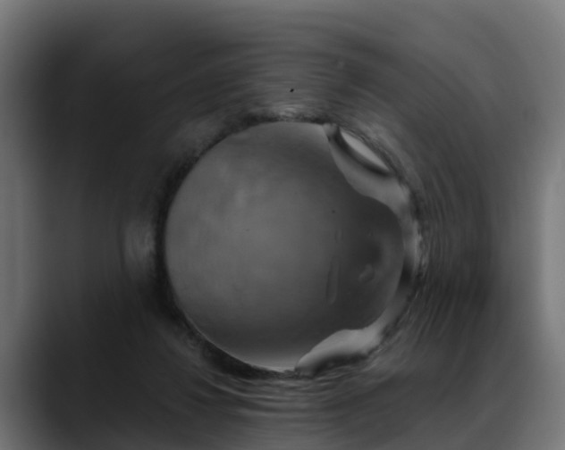 X0000088470260200705291554