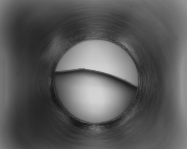 X0000088470261200705291554