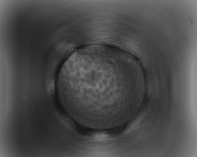 X0000088470262200705291554