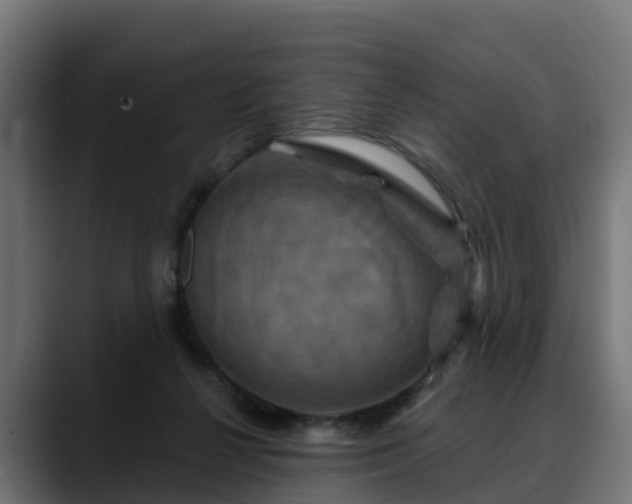 X0000088470264200705291554