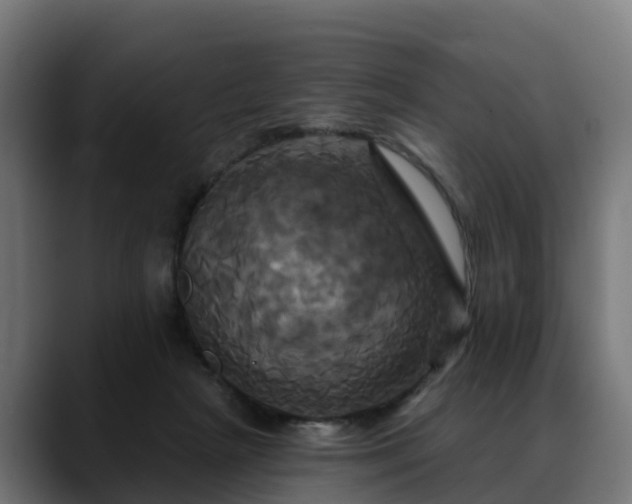 X0000088470265200705291554