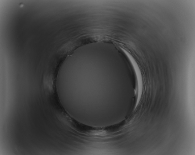 X0000088470266200705291554