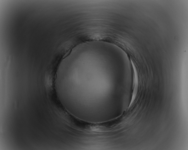 X0000088470268200705291554