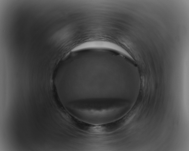 X0000088470269200705291554