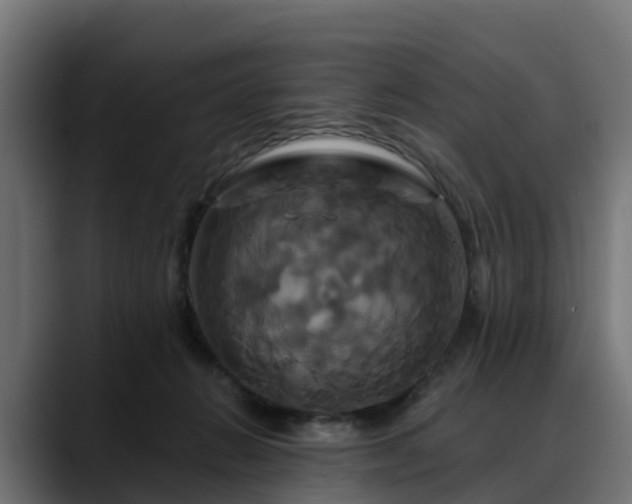 X0000088470270200705291554