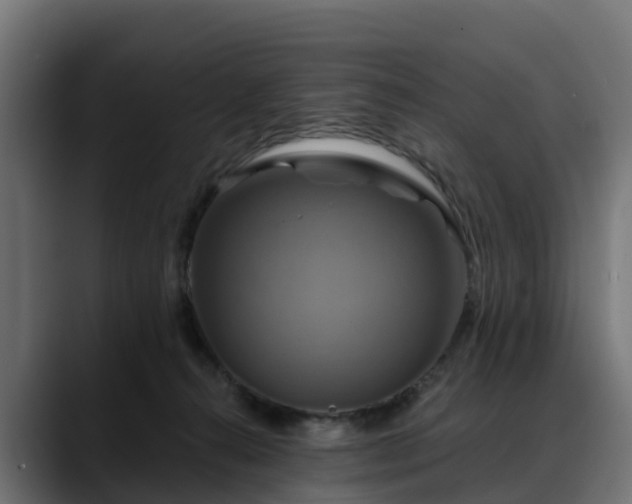 X0000088470272200705291554