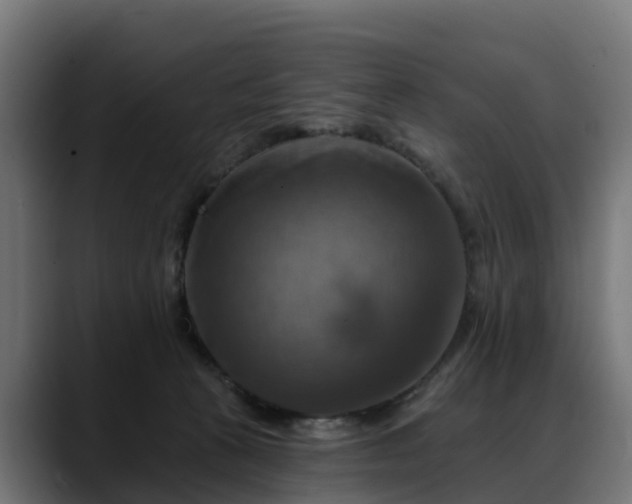 X0000088470273200705291554