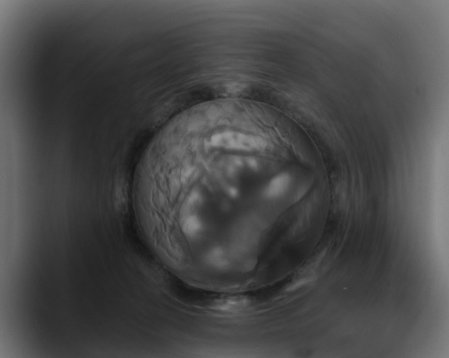 X0000088470274200705291554